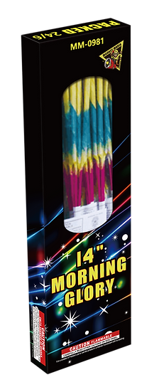MORNING GLORY 14" BY MM(15/24/6)