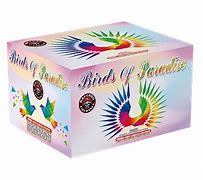 BIRDS OF PARADISE BY RA(2/1)