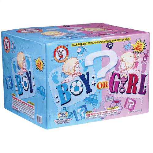 BOY OR GIRL BY W(2/2)
