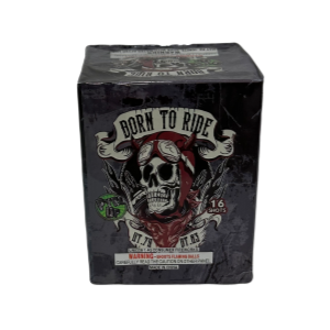 BORN TO RIDE BY PU(24/1)