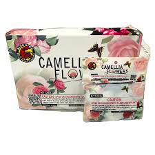 CAMELIA FLOWER BY WN(20/12/6)