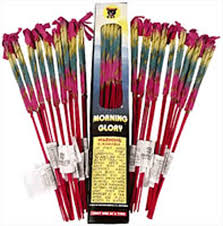 MORNING GLORY 16" BY BC(30/18/4)