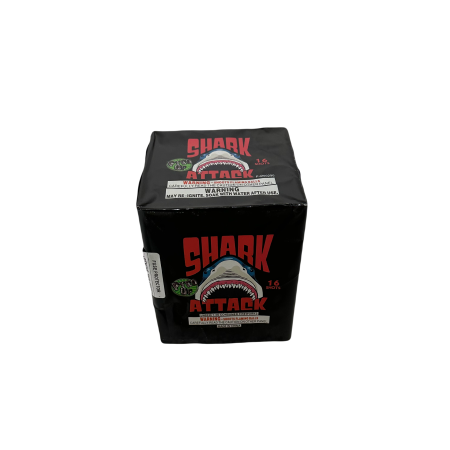 SHARK ATTACK BY PJ(24/1)