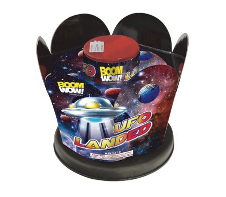 UFO LANDED BY BW(12/1)