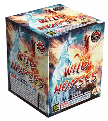 WILD HORSES 25 SHOT BY RA(12/1)