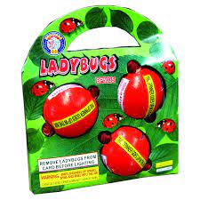 LADY BUGS BROTHERS BY BP(60/3)