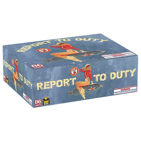 REPORT TO DUTY 86'S BY W (2/1)